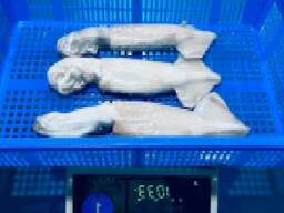 Предлагаем мороженные морепродукты в Украину от завода из Китая