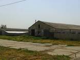 Предлагаю купить комплекс помещений сельскохозяйственного назначения. - фото 9