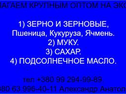 Предлагаю Украинское Зерно. Муку, Подсолнечное масло на Экспорт