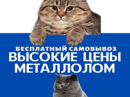 Прием металлолома, металлолом цена, вывоз лома, лом пункт приема, металлолом