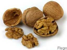 Принимаем заказы на ядро грецкого ореха