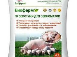 Пробиотик для свиноматок и разведения свиней
