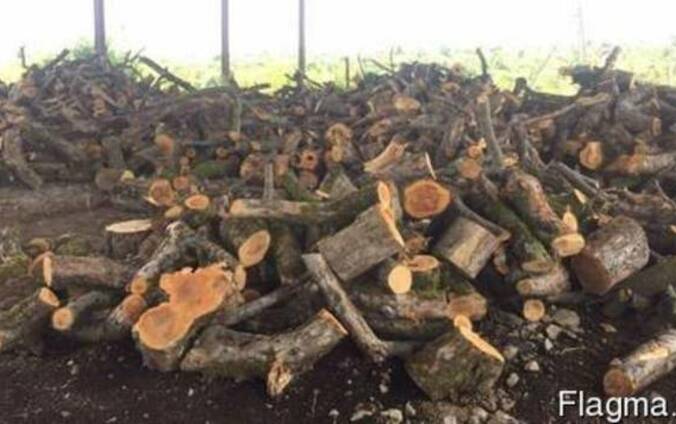 Продаем дрова фруктовые (яблоня, груща) от 500 грн метр куб.