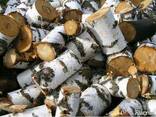Продаем дрова береза ольха дуб акация граб ясень сосна.