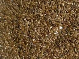 Продаем лен 10-13 тн, в мешках,