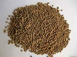 Продаем семена Вика Ярая