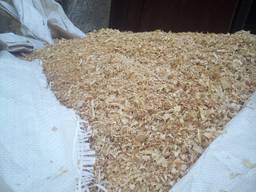 Тырса дубовая