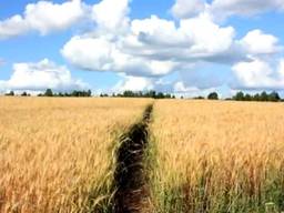 Продаем землю, фермерские хозяйства Украина 1000-50тис га