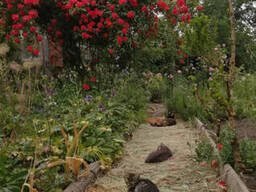 Продається будинок з ексклюзивною земельною ділянкою в центрі міста.