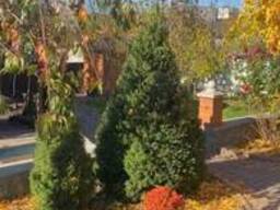 Продається двоповерховий будинок в центрі.