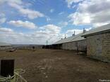 Продается ферма 2000 м. кв Старобешево, Донецкая область