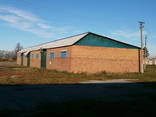 Ферма, агропромышленное предприятие, свинарники, курятники - фото 3
