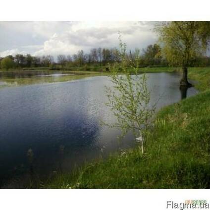 Продается зарыбленный пруд в черте населеного пункта, 20 км