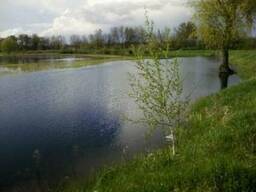 Продается зарыбленный пруд в черте населеного пункта, 20 км