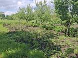 Продається земельна ділянка під забудову в м. Почаїв - фото 1
