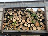 Продаємо дрова твердих порід - фото 1