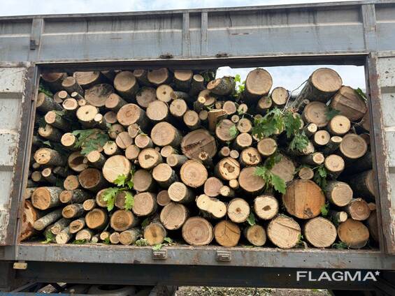 Продаємо дрова твердих порід