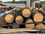 Продаємо дрова твердих порід - фото 3