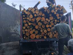 Продаємо дрова твердих та мягких порід