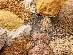 Продаємо крупу гречану, пшеничну, ячмінну