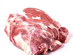 Продаємо лопатку яловичу HoReCa. Продаем лопатку говяжью HoReCa, Львівська обл.