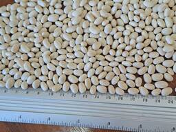 Продається квасоля