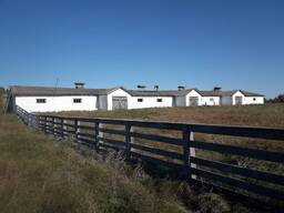 Продається вівчарник з фермою та землею (5,5 Га, приватна власність)