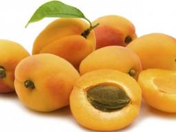 Продам абрикос крупным оптом на переработку!