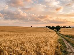 Продам агропідприємство