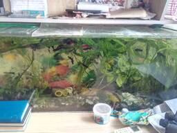 Продам акваріуми трьох обємів і розмірів 160,120,70 літрів