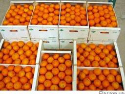 Продам апельсин з Турции