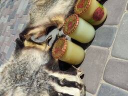 Продам барсучий жир