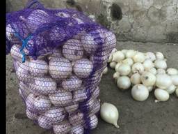 Продам Белый лук опт