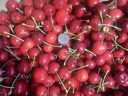 ПРОДАМ Черешня Мелитопольская ранняя с сада ОПТОМ