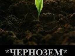 Чернозём плодородный. Торф верховой. Перегной коровий. Компост грибной.
