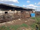 Продам действующую животноводческую ферму (или под разборку)