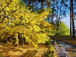 Продам ділянку у моря. 18 км від Києва