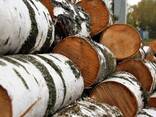Продам, дрова береза, клен, акація, Чернігівська обл com/ru/trade/m-1 - фото 2