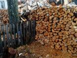 Продам дрова (береза рубани) - фото 2