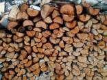 Продам дрова (береза рубани) - фото 3