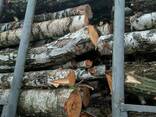 Продам дрова берёзовые с доставкой. - фото 1