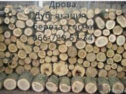 Продам дрова, дуб, акация, береза, сосна, вяз.