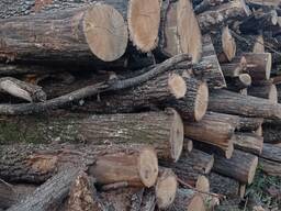 Продам дрова дуб, береза, ольха, сосна. Довжина до 2м