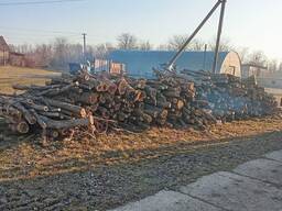 Продам дрова горіха, яблуня