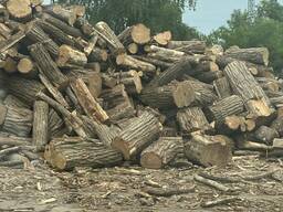 Продам дрова опт