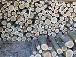 Продам дрова сосна , акация , микс .