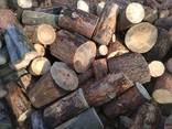 Продам дрова чурочка либо метровка