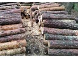 Продам дрова соснові, береза, ольха, дуб.