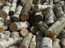 Продам дрова сухі березові 1000 грн. складометр