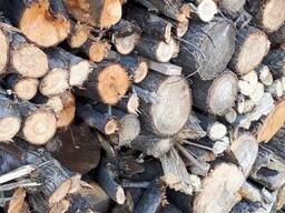 Продам дрова твердых пород в Кирьяковке Николаевской обл.